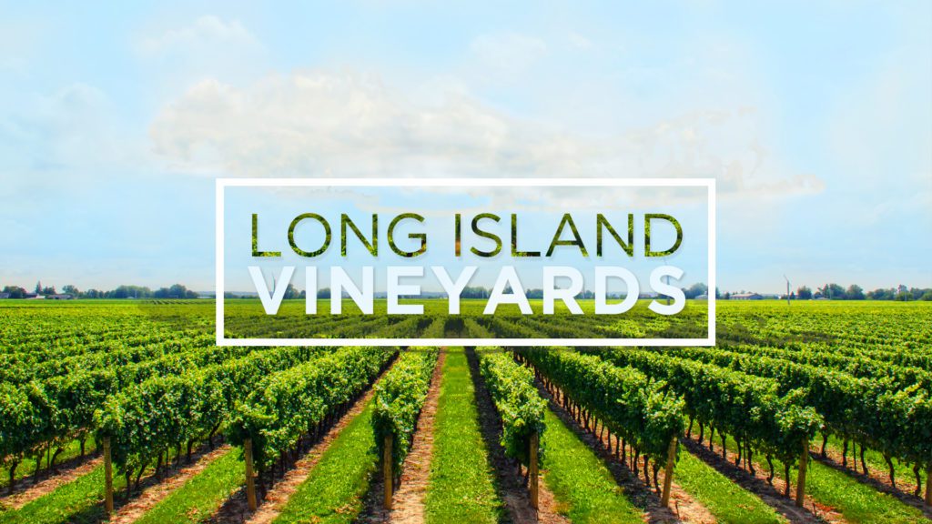 Vineyards & Winerys Long Island NY - Long Island Limousine Services